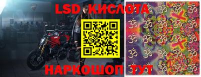 молекула духа Кингисепп