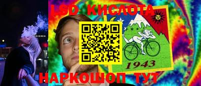 молекула духа Кингисепп