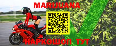 молекула духа Кингисепп