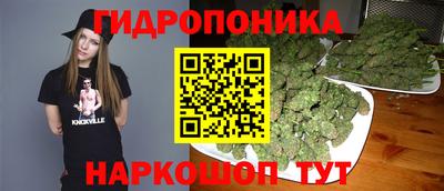 стаф Кимры