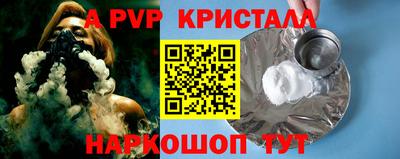 молекула духа Кингисепп