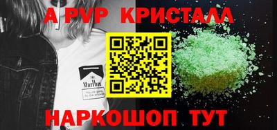 молекула духа Кингисепп