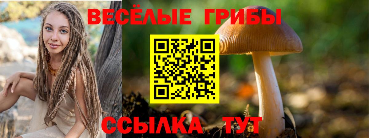Псилоцибиновые грибы GOLDEN TEACHER  Галлюциногенные грибы Psilocybe  Вход с VPN  Котлас 